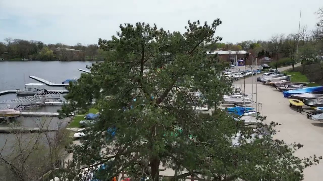 DJI Mini 3 Pro - APAS 4.0 in action (2.7K/30p)