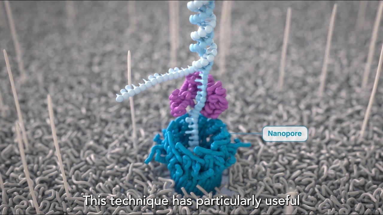 Long-reads: the next generation of cancer genome sequencing (subtitles)