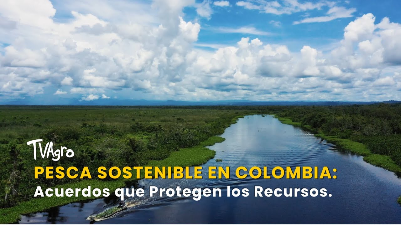 Pesca Sostenible en Colombia: Acuerdos que Protegen los Recursos - TvAgro por Juan Gonzalo Angel
