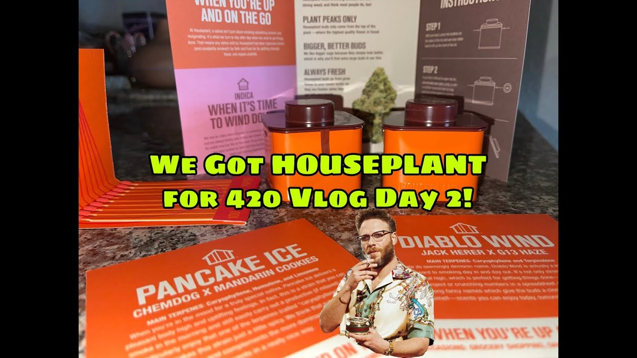 420 Vlog Day 2 with HOUSEPLANT by Seth Rogen and Evan Goldberg! 💚  Also featuring King Palm 🥰
