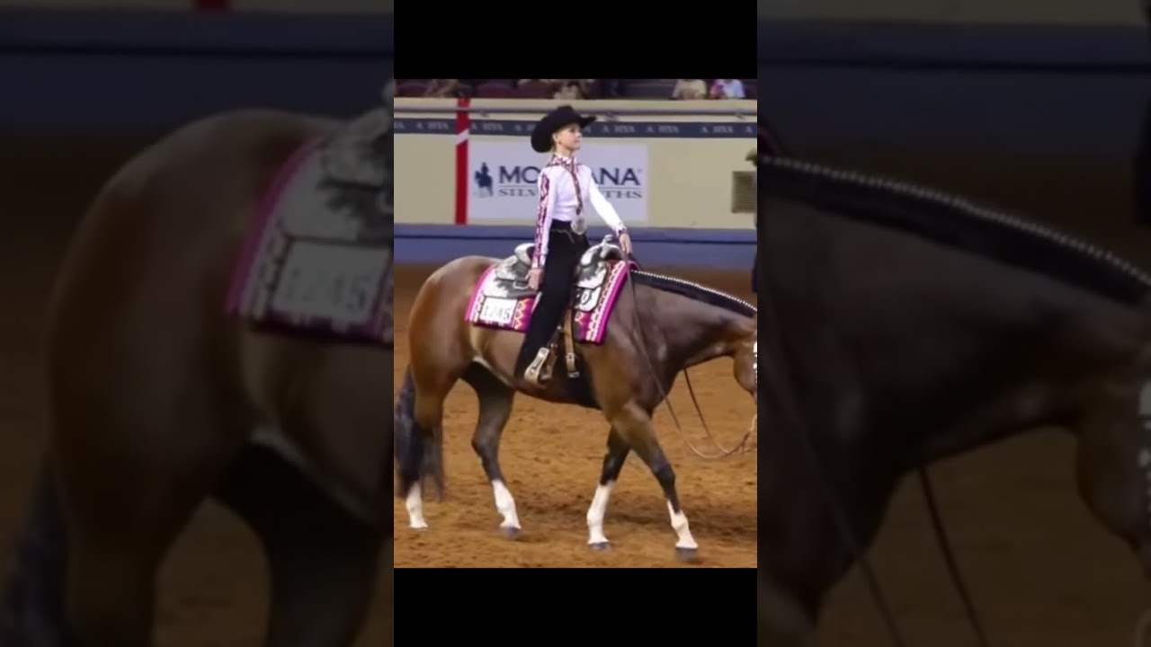 Western pleasure fans?? Sorry some got cut off! M: 17 @HorseyDoodle1 #equestrian #shorts #edit
