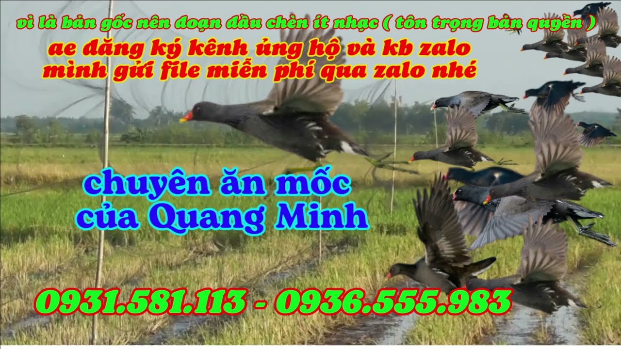 tiếng trích mốc Quang Minh chuẩn bản gốc - bản chuyên ăn mốc ( file 320kb )