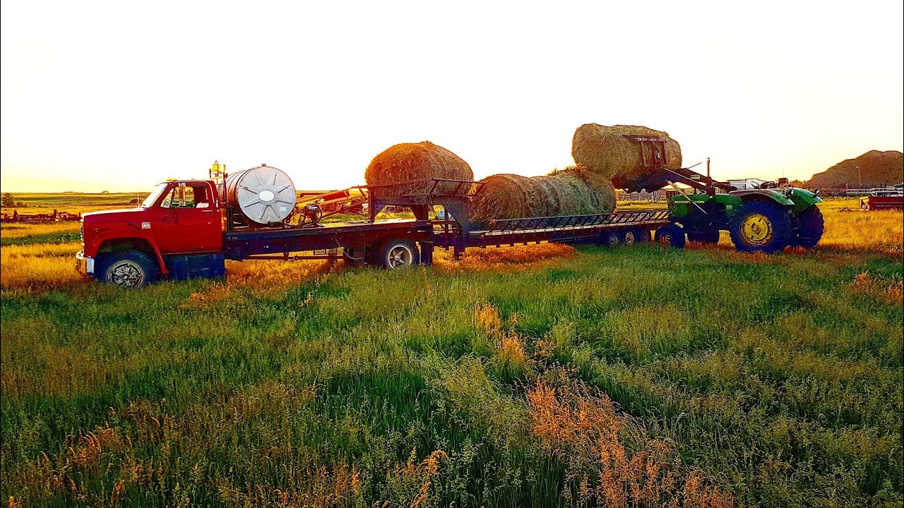 Picking bales!! And more
