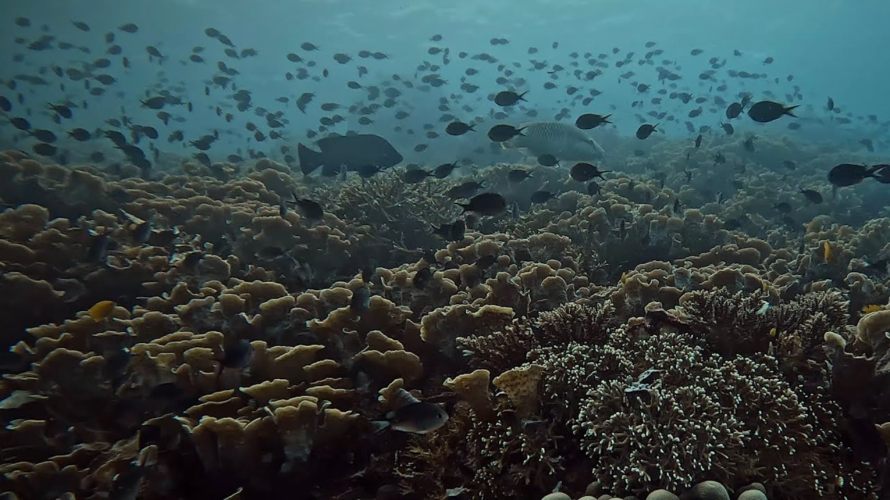 Yenbuba jetty Raja Ampat