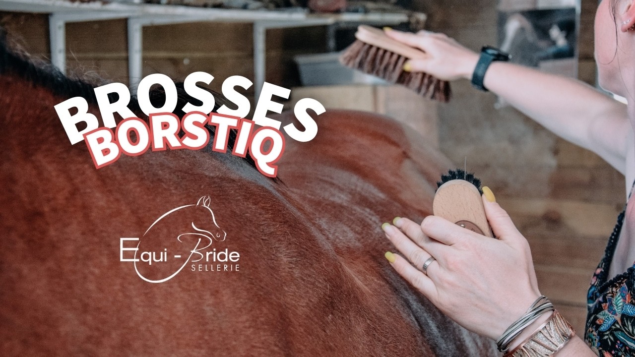 #ZOOMPRODUIT 🔎 Les brosses Borstiq Farm | Equi-Bride Sellerie