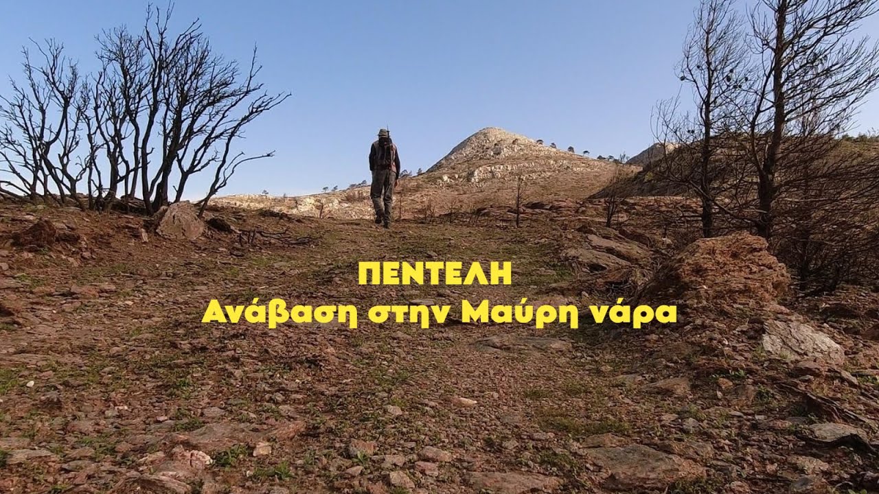 ΠΕΝΤΕΛΗ ΚΟΡΥΦΕΣ ΜΑΥΡΗΝΑΡΑ