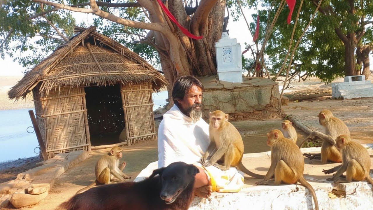 यहाँ जानवर भी भाषा समझते हैं!शहर के शोर से दूर, असली शांति यहाँ है।