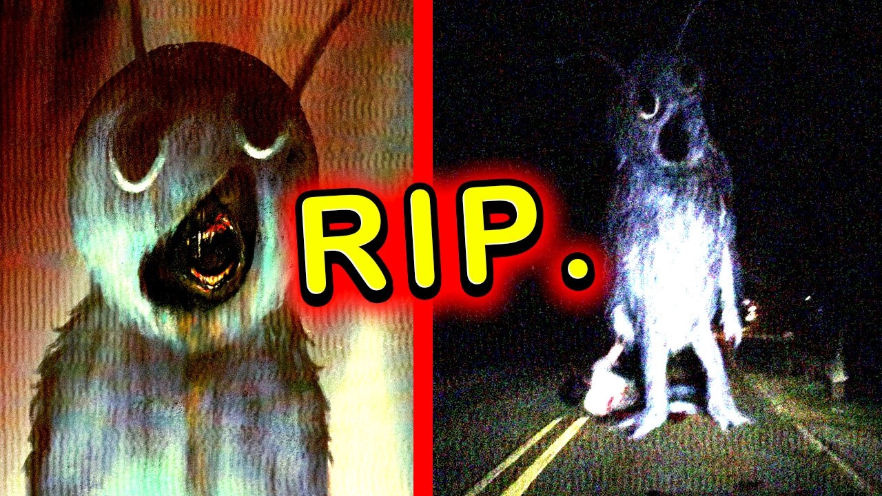 The HORROR of the 