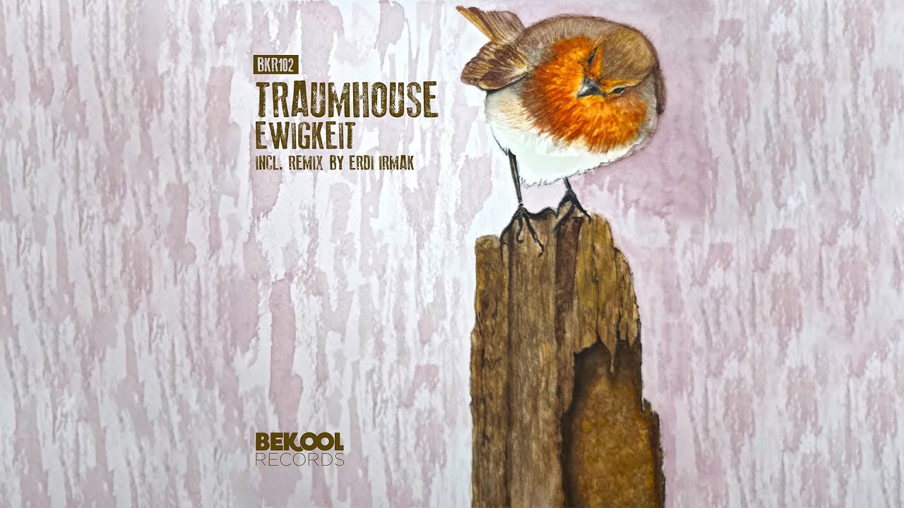 Traumhouse - Ewigkeit (Erdi Irmak Remix) [Bekool Records]