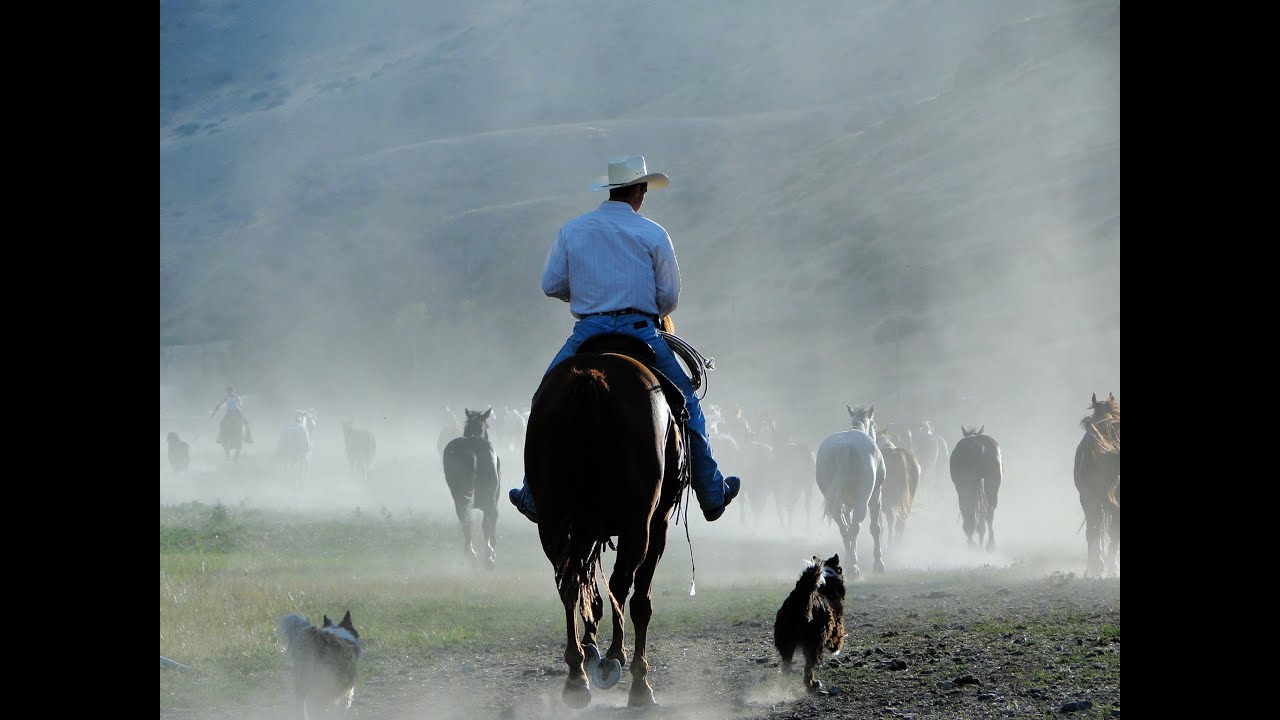 RANCH MONTANA (USA) - Séjour équestre Rando Cheval