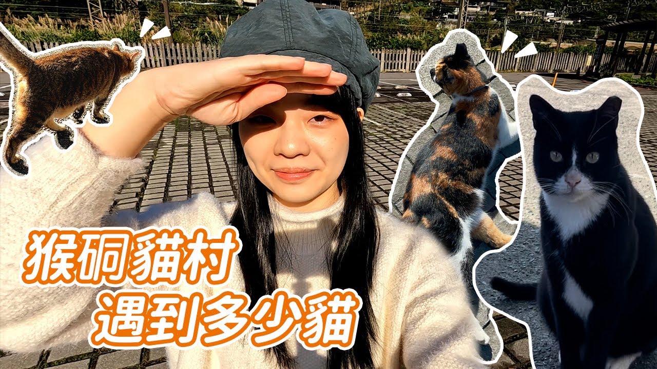 【 猴硐貓村 】好天氣貓咪都出來了! @tonyhuang38
