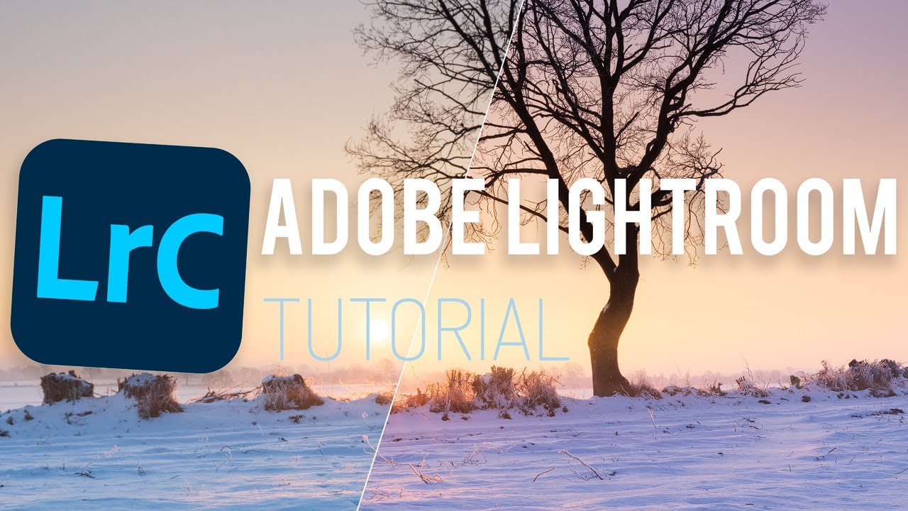 Lightroom Classic Bildbearbeitung - 