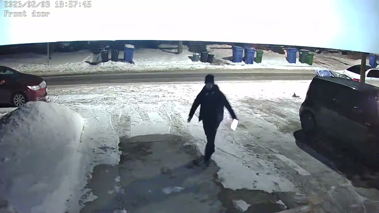 Dancing fool