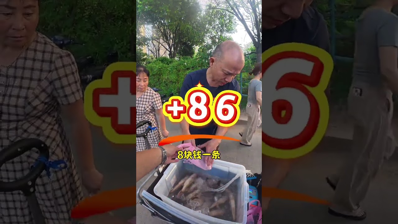 半价鲈鱼还挑三拣四，直接不卖！#我的摆摊日记 #鲈鱼 #卖鱼 #电子榨菜 #烟火气