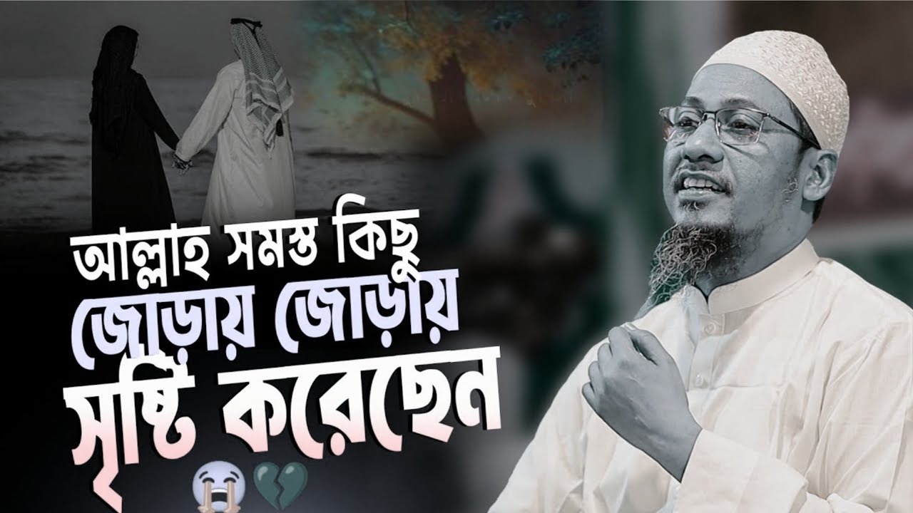 আল্লাহ সমস্ত কিছু জোড়ায় সৃষ্টি করেছেন।মুফতি আনিসুর রহমান আশরাফী। New waz 2025