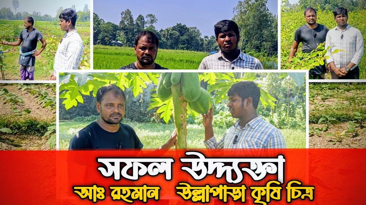 একজন খামারির পাচ রকমের প্রযেক্ট || উল্লাপাড়া কৃষি চিত্র || Ullapara Krishi Chitro