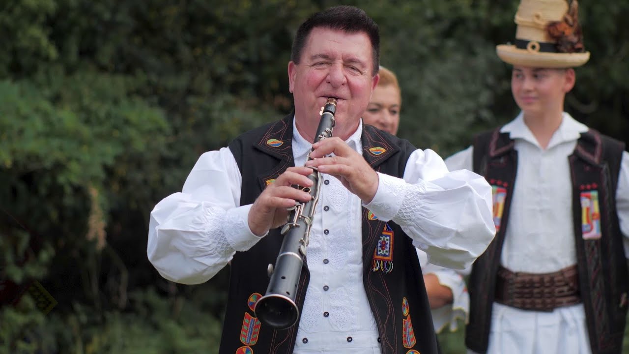 Dumitru Dobrican - Tropotita din Maramureș