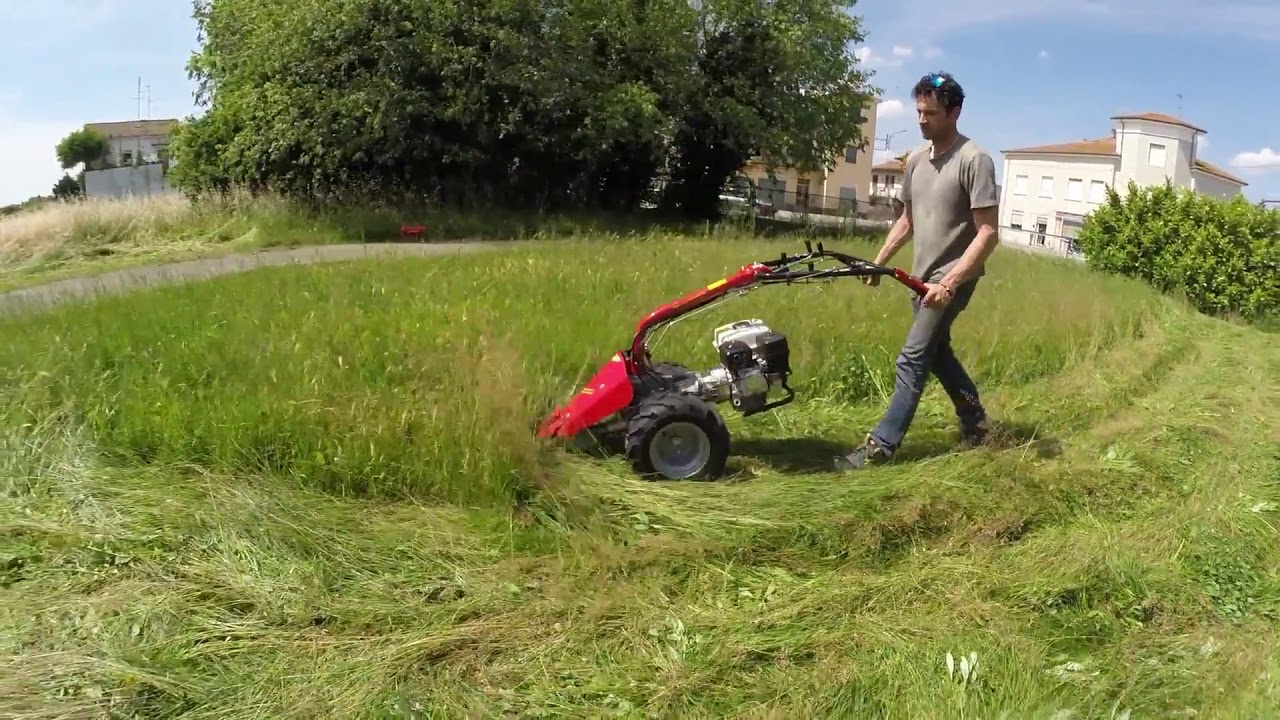 MF 225 Meccanica Benassi (Fauchage)