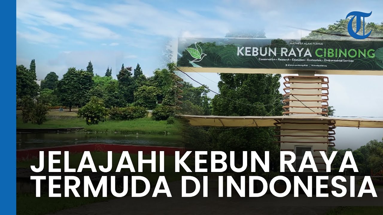 Jelajah Keindahan Kebun Raya Cibinong, Kebun Raya Termuda yang Ada di Indonesia