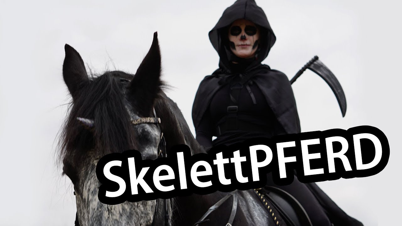 Pferde-Kostüm Level "Profi": Das Skelettpferd (Fasching/Halloween)