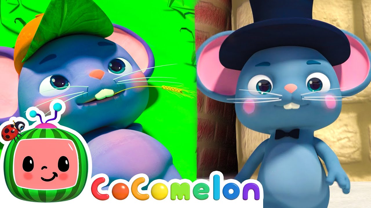 🐁The Country and City Mouse KARAOKE!🐁| CoComelon Karaoke Songs | Sing Along With Me! | Kids Karaoke