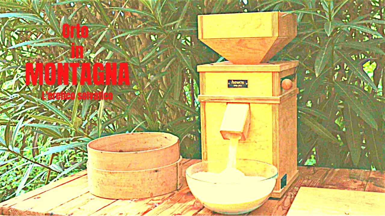 Farina di mais dal campo alla macinazione.