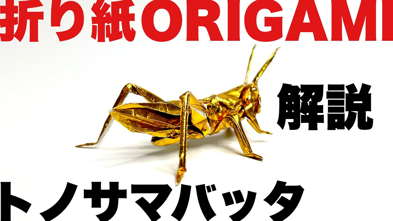 解説つきトノサマバッタの折り方　折り紙　トノサマバッタ　Origami locusta