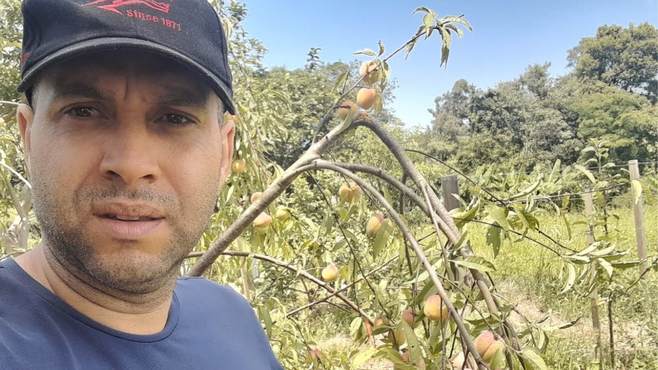 DESCUBRA O SÍTIO #agro #caminhoparaumavidamelhor #vidanaroça