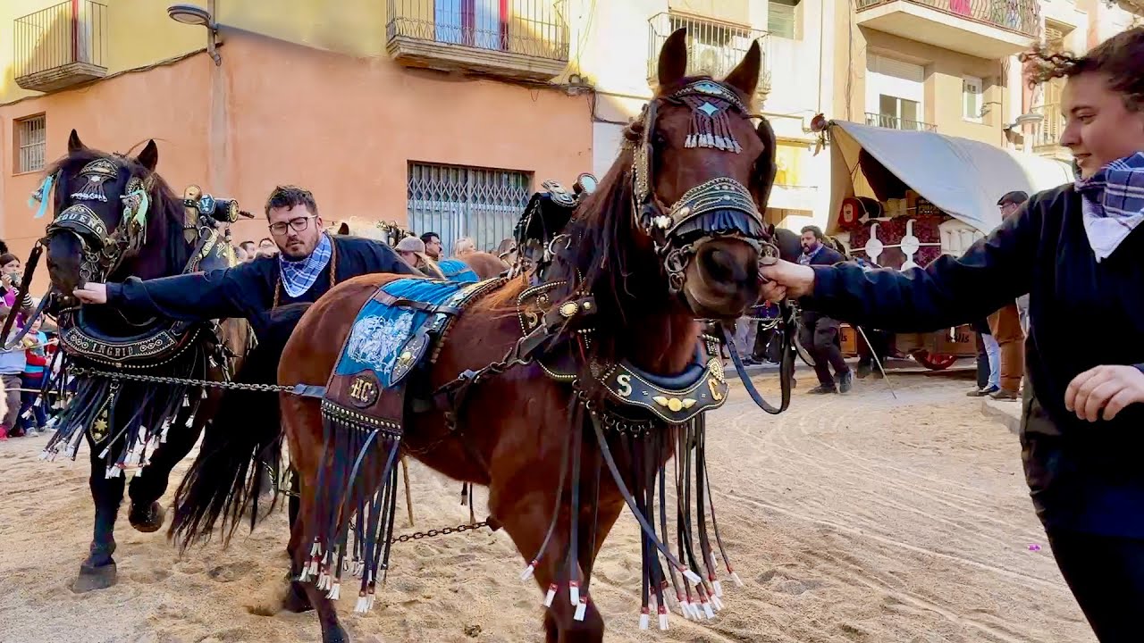 TRES TOMBS de SANT ANTONI 46è Edició - MURALLA del Castell - Valls 2025 - Episodi nº 2