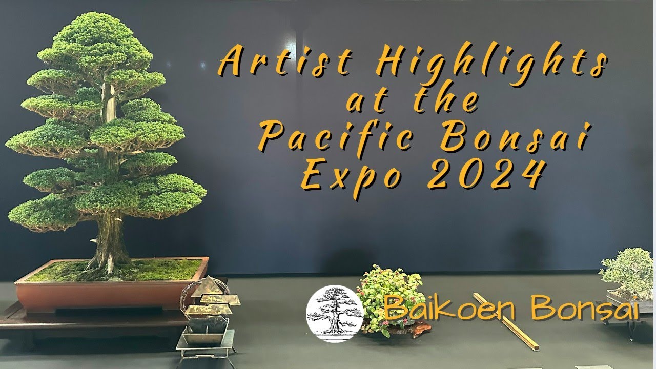 Artist Highlights at the Pacific Bonsai Expo 2024 - Bonsai Exhibition - Baikoen Bonsai Club