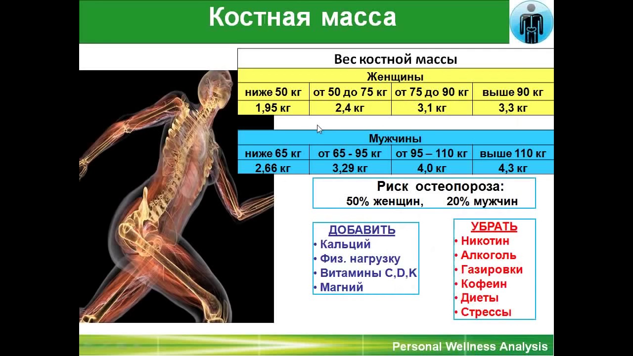 Wellness TEST ранняя версия