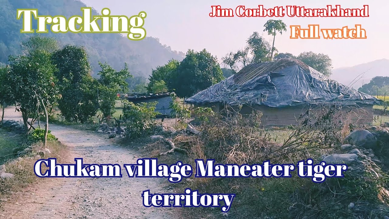 People are worried in this part of Chukam village | Core Maneater Territory Village | Jim Corbett