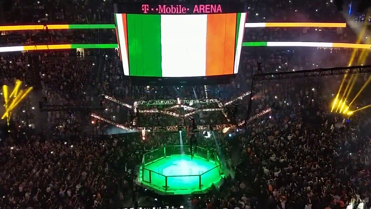 Conor McGregor UFC 229 Walk Out