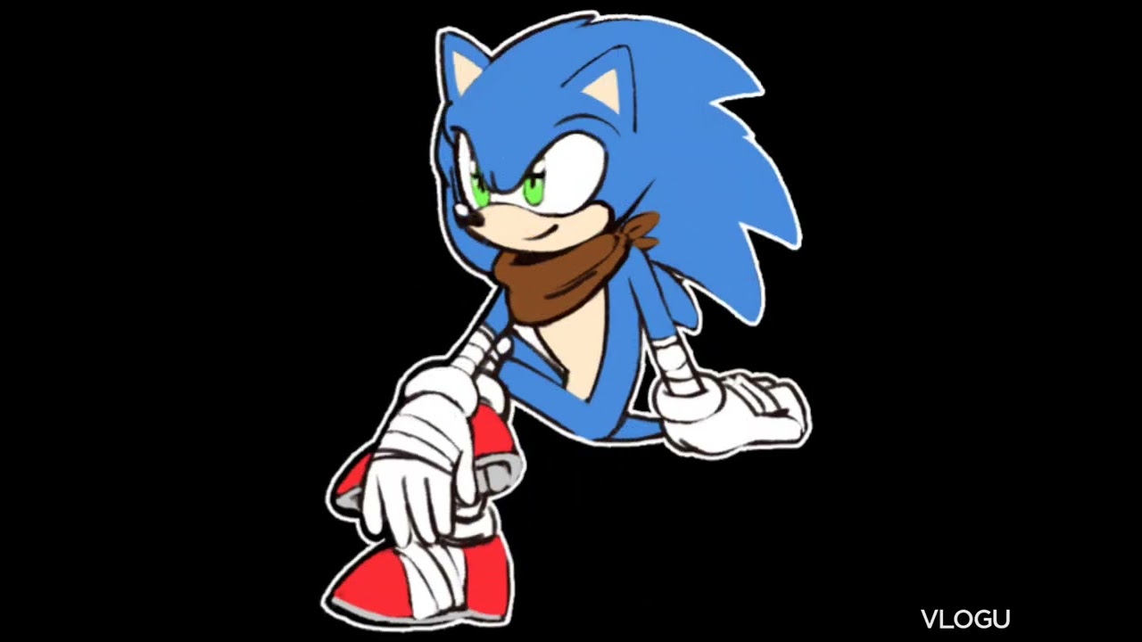 sonic vs shadow do what you gotta do