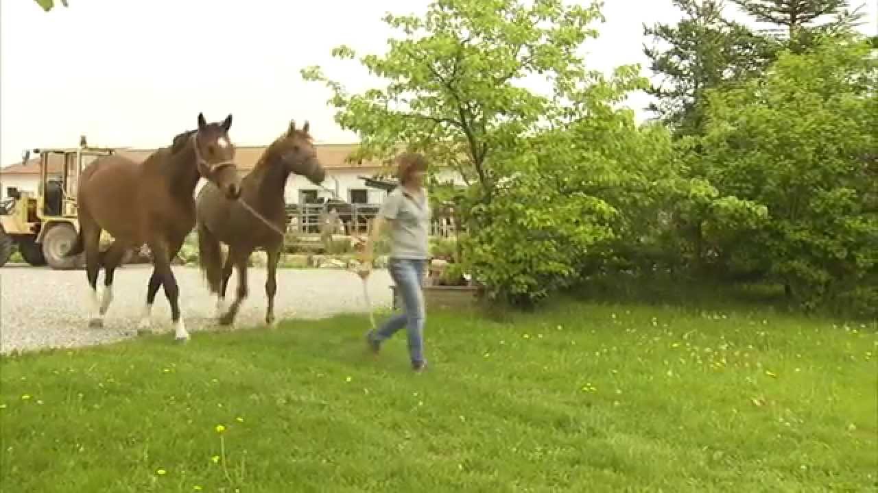 Landwirtschaft in Bayern: Landkreis Ebersberg in Oberbayern