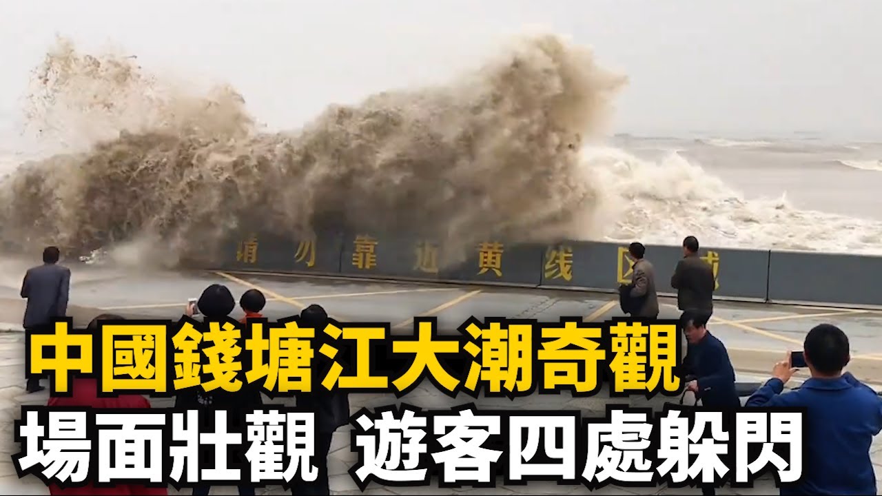 錢塘江大潮奇觀！氣勢凶猛！浪潮撲面而來，如千軍萬馬奔騰！沖天潮場面壯觀！驚濤駭浪 潮聲如雷，大潮來襲遊客四處躲閃！