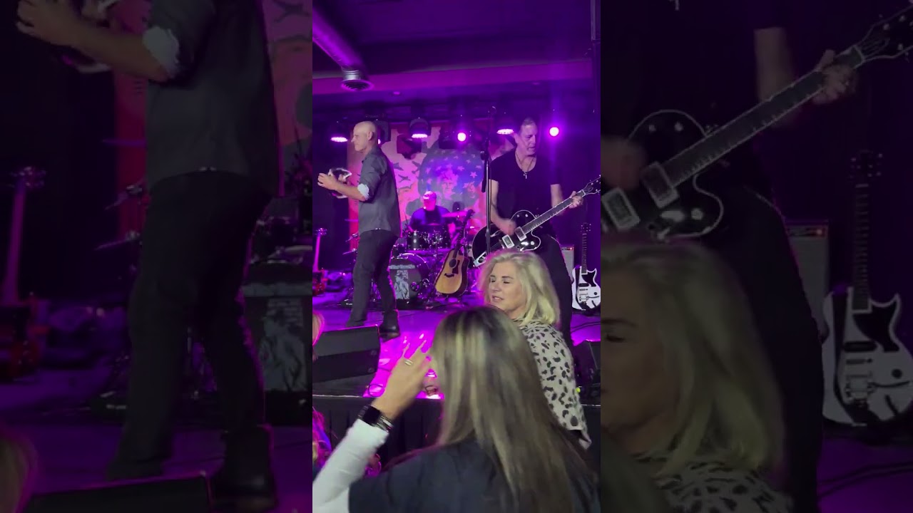 The Smithereens- A Girl Like You [The Distractions] Live Cover