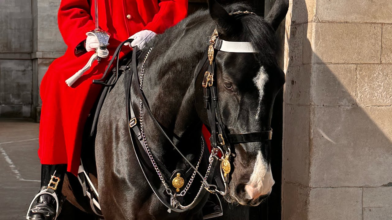Spectacular Day at Horse Guards In London!”