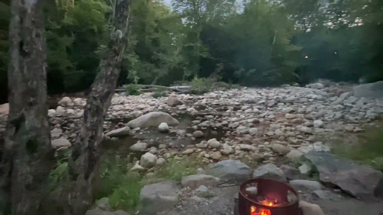 WARNING; CUTE DOG ALERT! Prius Camping is amazing! Especially here in Woodstock…New Hampshire.