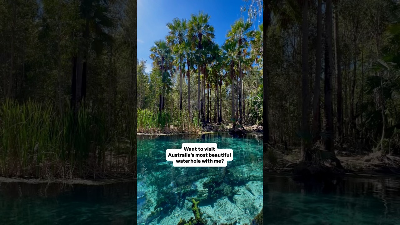 Australia&rsquo;s best swimming hole 👇🏼