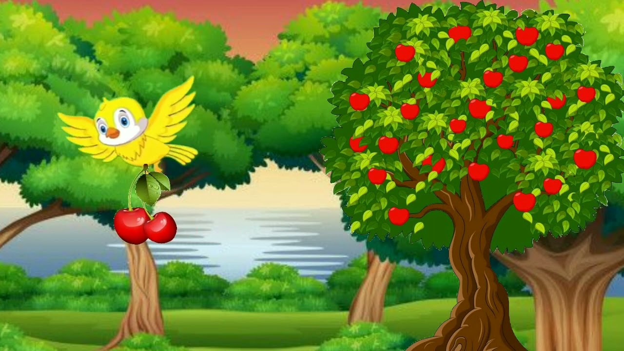 cartoon video tuni chidia