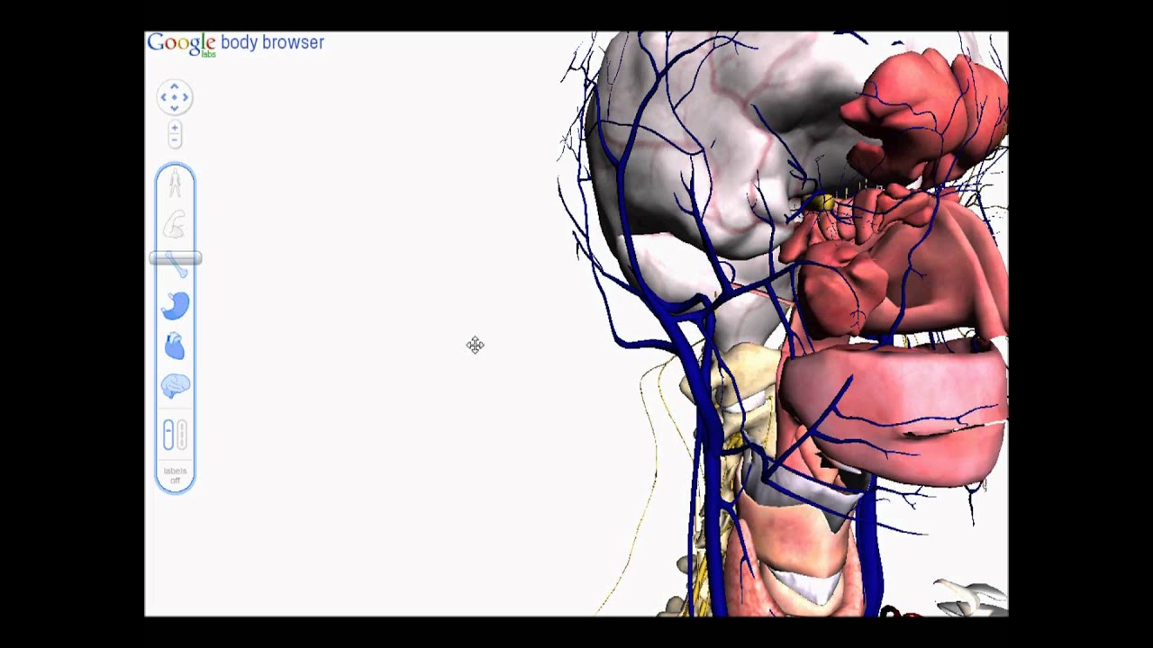 google body browser : inside you!