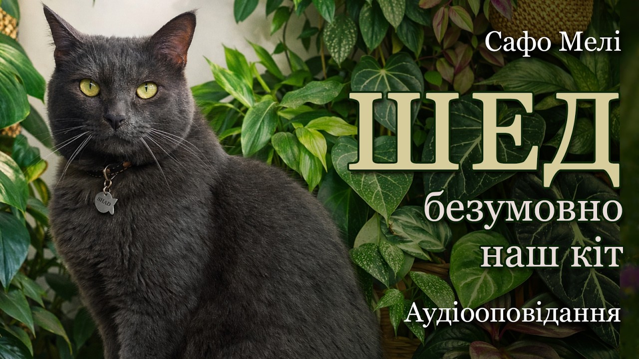 Аудіооповідання 