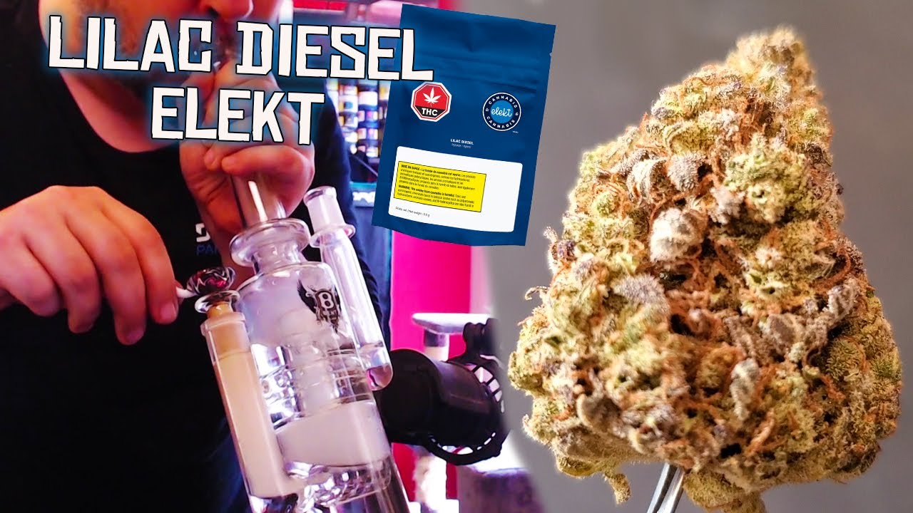 Test et pr&eacute;sentation ELEKT -  LILAC DIESEL de Rose Science Vie (20% THC) BONUS: MON NOUVEAU BONG !