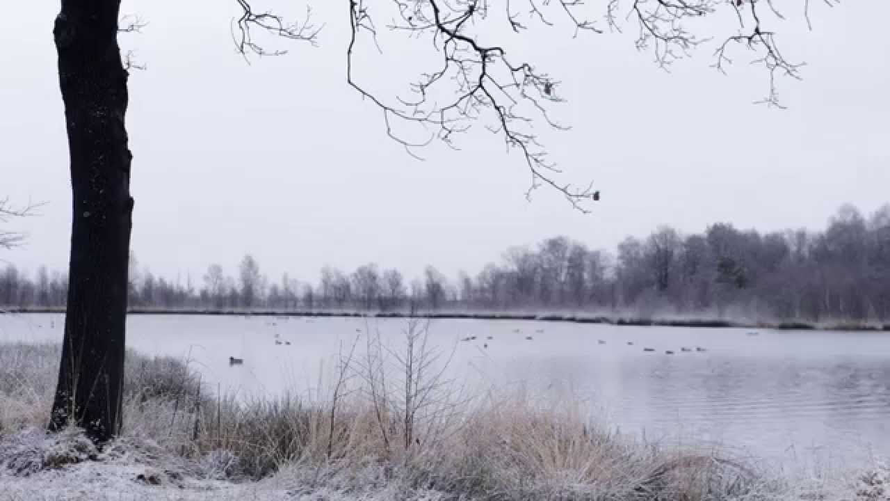 Appelscha - De Friese Wouden ( Herfst & Winter )