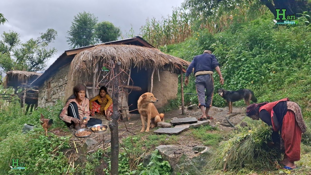This is Himalayan Nepali Village Traditional Lifestyle | Organic Food | Village Life | Rain Session 