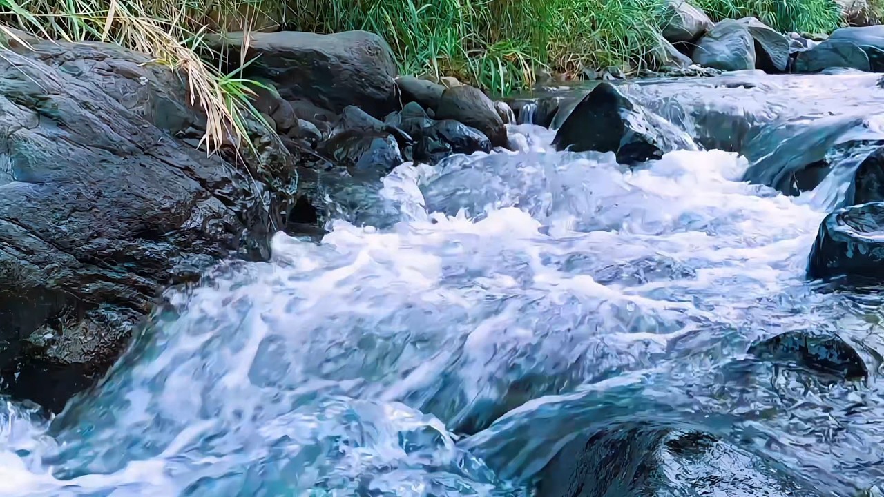 River Sounds for Inner Peace and Sleep