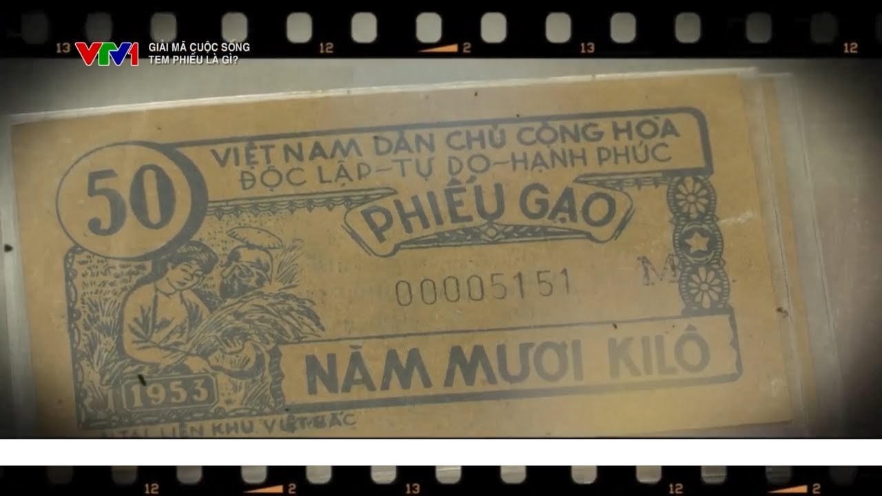 Ngược dòng thời gian về thời TEM PHIẾU | VTV24