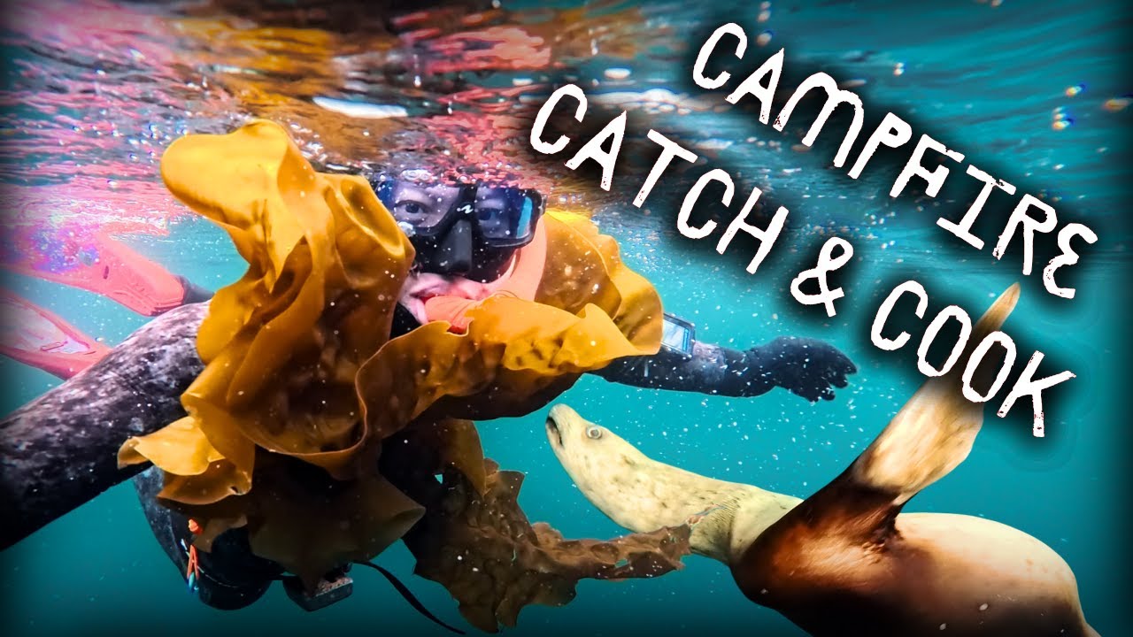 Seafood Everywhere! 🇨🇦 Foraging British Columbia | PNW Samson