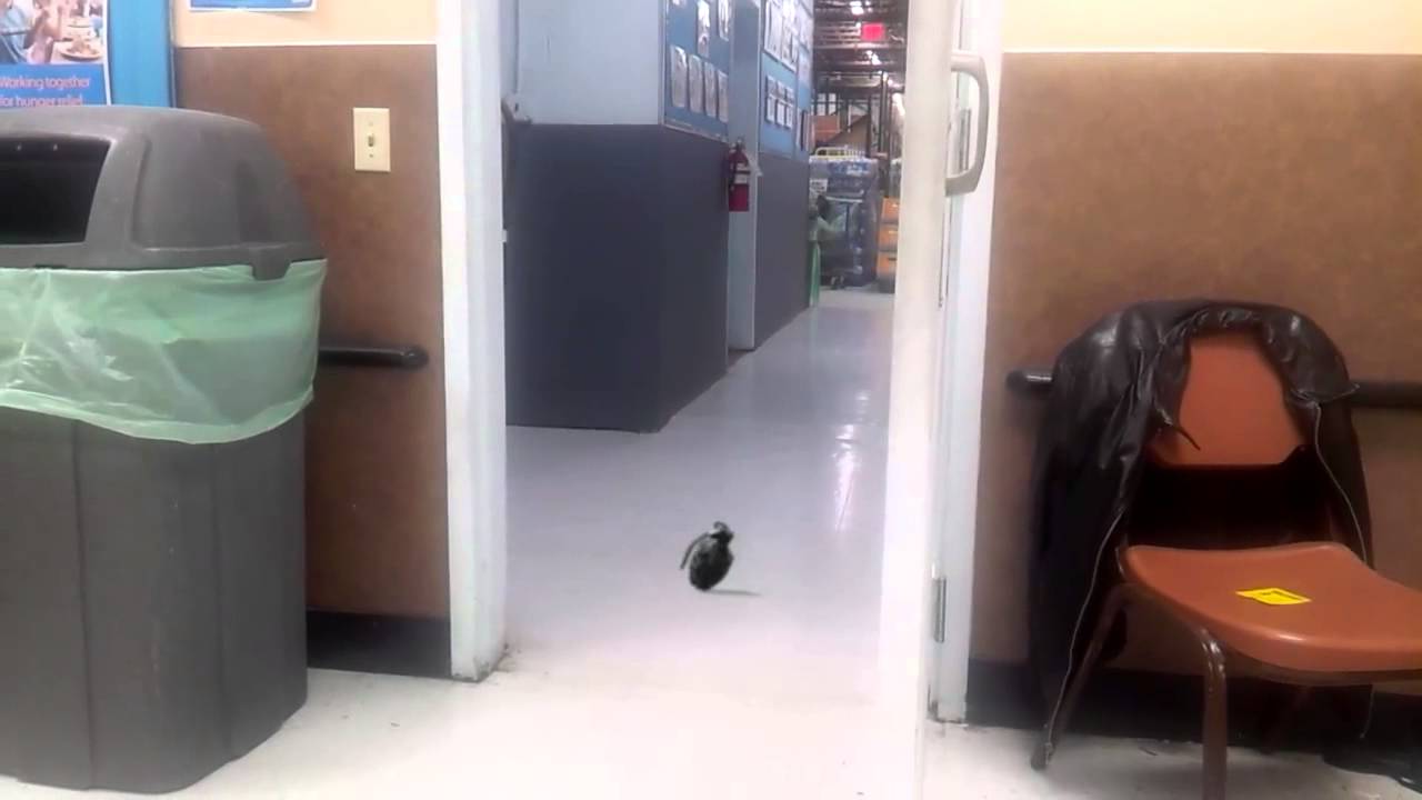 Another boring day at work......
